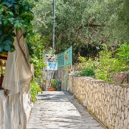 Отель Selini 2*